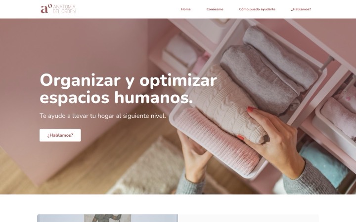 anatomía del orden — organizadora profesional — web